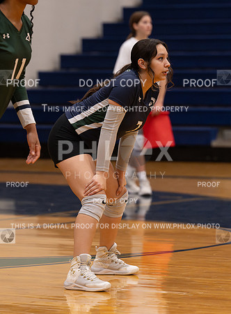 DLS_8119