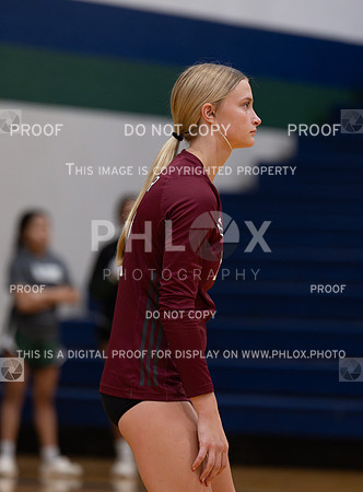 DLS_7909