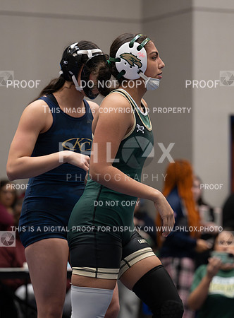 DLS_8043