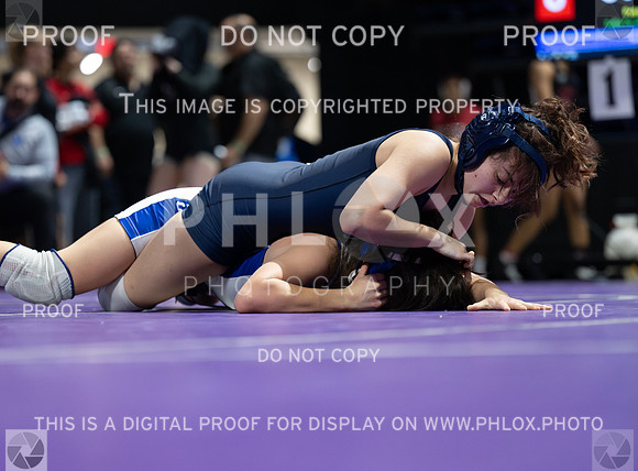 DLS_9134
