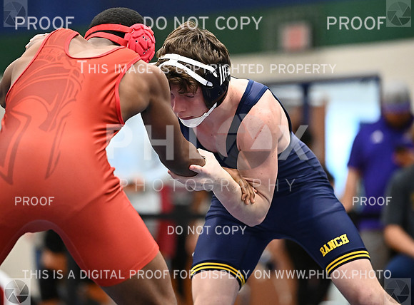 DLS_5610