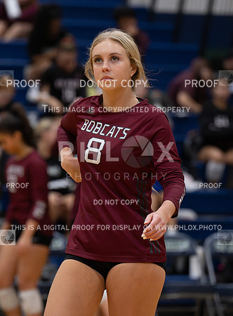 DLS_8062